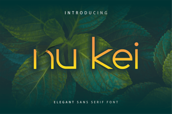 Nu Kei: A Modern Font for a Digital Future