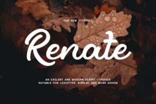 Renate: A Bold and Daring Display Font That Transforms Design Ideas Into Art