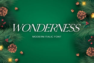 Wonderness: A Stylish Typographic Choice